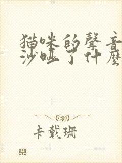 猫咪的声音突然沙哑了什么原因