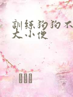 训练狗狗不随地大小便