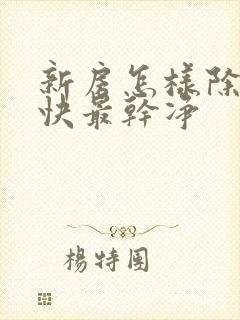 新房怎样除味最快最干净