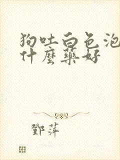 狗吐白色泡沫吃什么药好