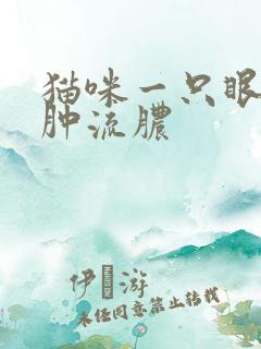 猫咪一只眼睛红肿流脓