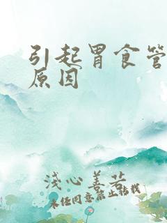 引起胃食管反流原因