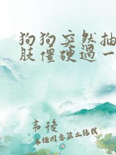 狗狗突然抽搐四肢僵硬过一会又好了