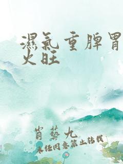 湿气重脾胃虚肝火旺