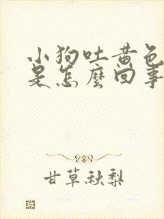 小狗吐黄色粘液是怎么回事