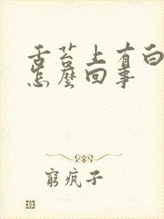 舌苔上有白的是怎么回事