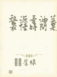 婺源看油菜花的最佳时间是