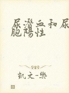 尿潜血和尿白细胞阳性