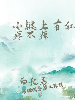 小腿上有红斑不疼不痒