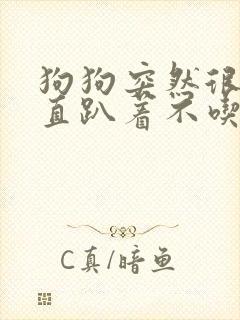 狗狗突然很蔫一直趴着不吃东西