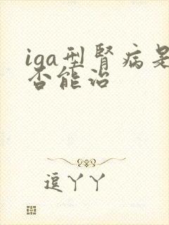 iga型肾病是否能治