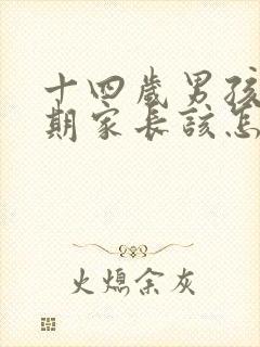 十四岁男孩叛逆期家长该怎么办