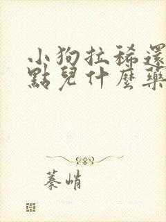 小狗拉稀还吐吃点儿什么药呢