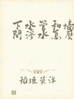 下水管和墙体之间渗水怎么办