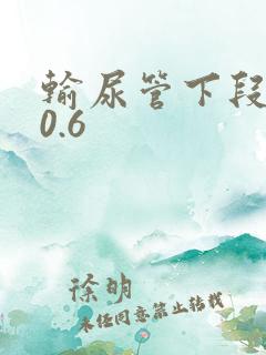 输尿管下段结石0.6