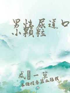 男性尿道口长一小颗粒