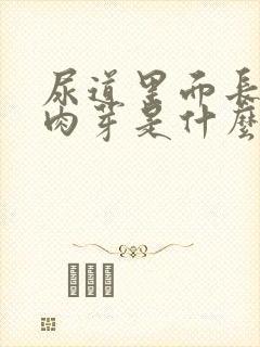 尿道里面长了小肉芽是什么病