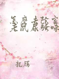 怎么去除家里的老鼠尿骚味