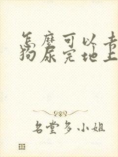 怎么可以去除狗狗尿完地上的味道