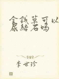 金钱草可以治疗尿结石吗