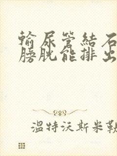 输尿管结石进入膀胱能排出吗