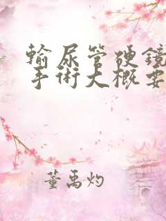 输尿管硬镜取石手术大概要多少钱