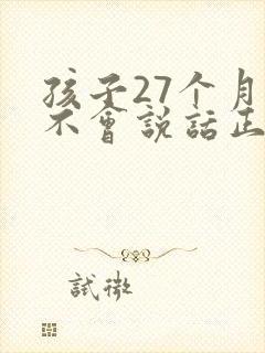 孩子27个月还不会说话正常吗