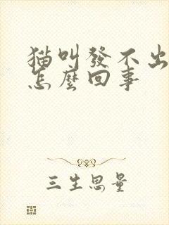 猫叫发不出声音怎么回事