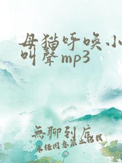 母猫呼唤小猫的叫声mp3