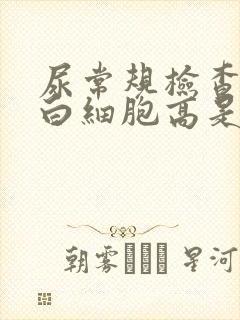 尿常规检查结果白细胞高是什么原因