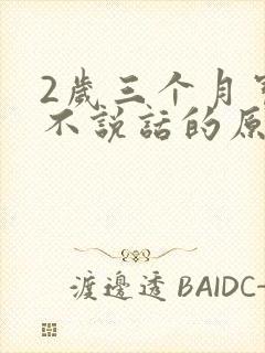 2岁三个月宝宝不说话的原因