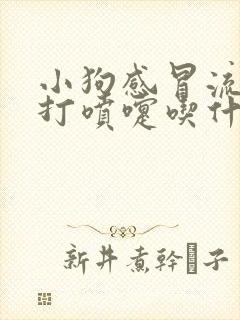 小狗感冒流鼻涕打喷嚏吃什么药