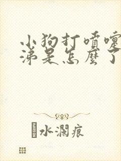 小狗打喷嚏流鼻涕是怎么了