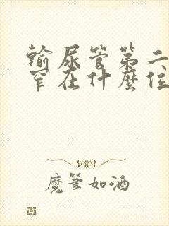 输尿管第二处狭窄在什么位置