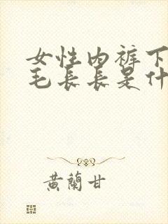 女性内裤下边毛毛长长是什么原因