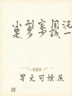 小型家用洗衣机是多少钱一台