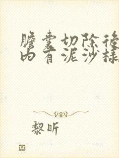 胆囊切除后胆管内有泥沙样结石怎么办