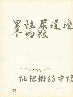 男性尿道边上长个肉粒