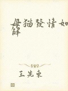 母猫发情如何缓解