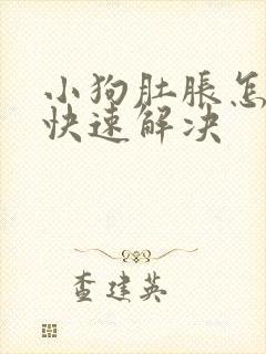 小狗肚胀怎么办快速解决