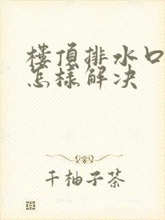 楼顶排水口漏水怎样解决