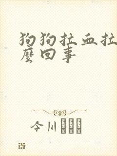 狗狗拉血拉尿怎么回事