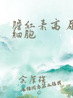 胆红素高 尿红细胞