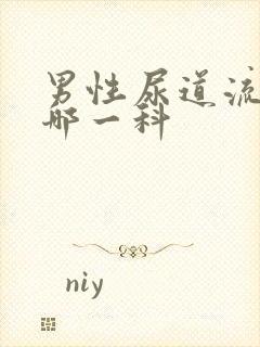 男性尿道流脓看哪一科