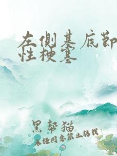 左侧基底节腔隙性梗塞