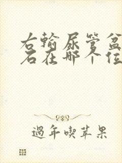 右输尿管盆段结石在哪个位置