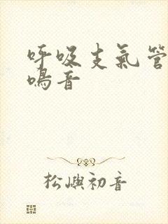 呼吸支气管有哮鸣音