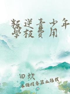 叛逆青少年特训学校费用