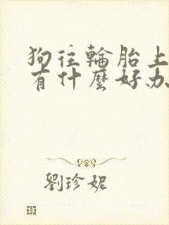 狗往轮胎上撒尿有什么好办法