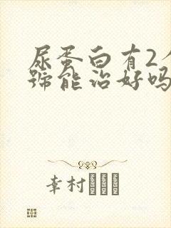 尿蛋白有2个十号能治好吗